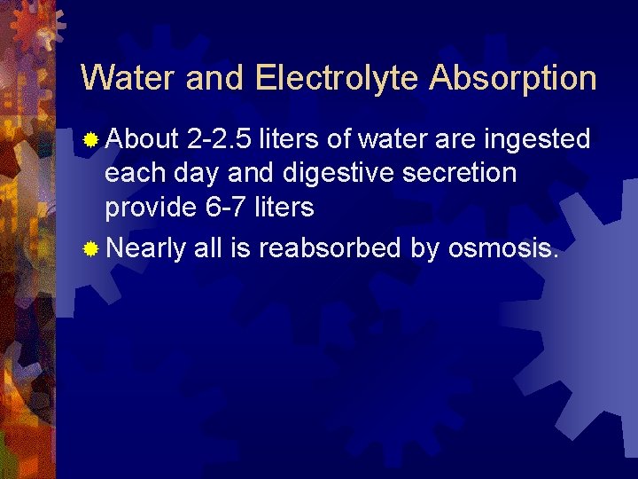 Water and Electrolyte Absorption ® About 2 -2. 5 liters of water are ingested