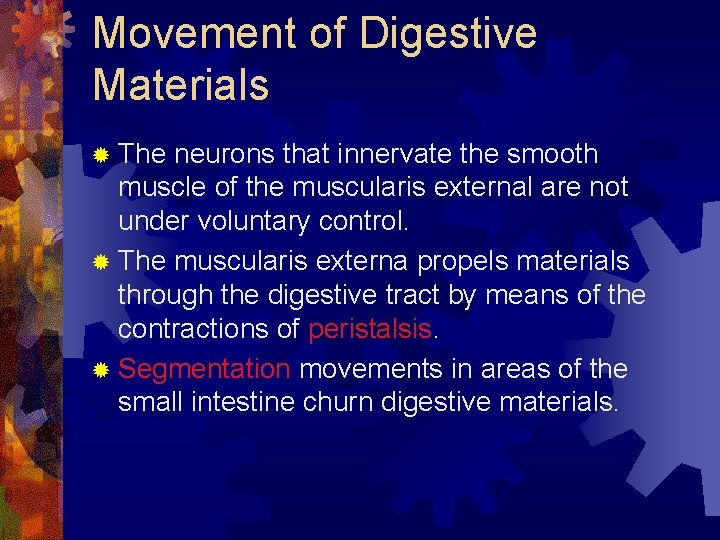 Movement of Digestive Materials ® The neurons that innervate the smooth muscle of the