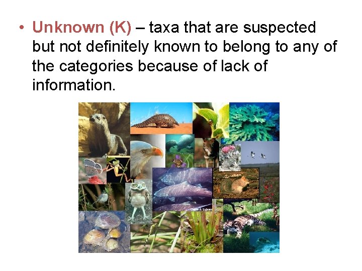  • Unknown (K) – taxa that are suspected but not definitely known to