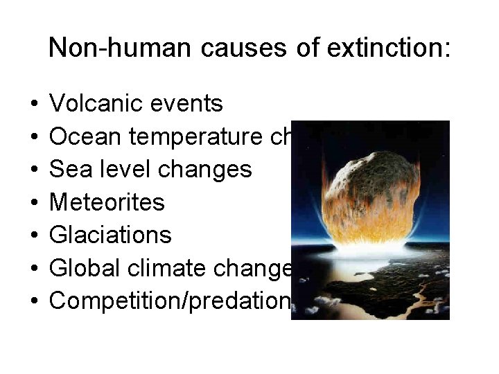 Non-human causes of extinction: • • Volcanic events Ocean temperature change Sea level changes