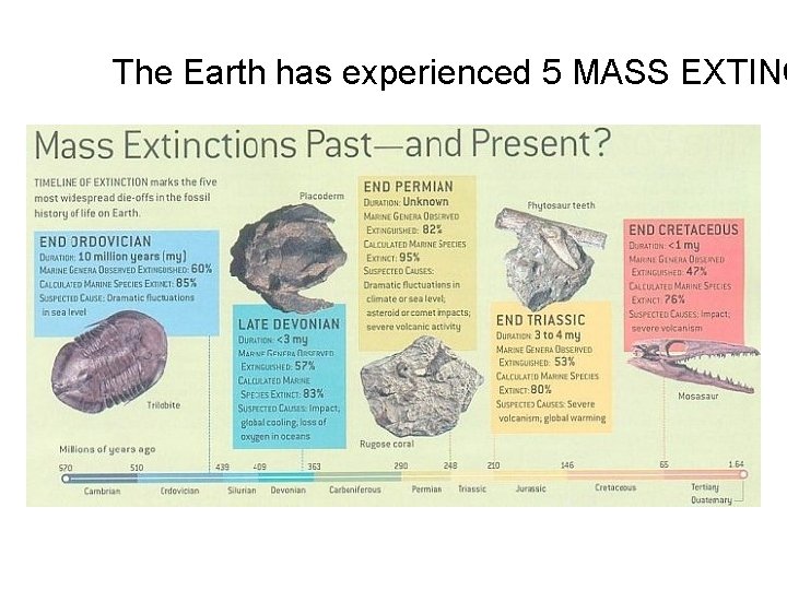 The Earth has experienced 5 MASS EXTINC 