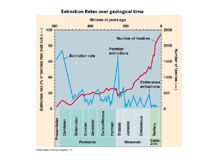 Extinction Rates over geological time 