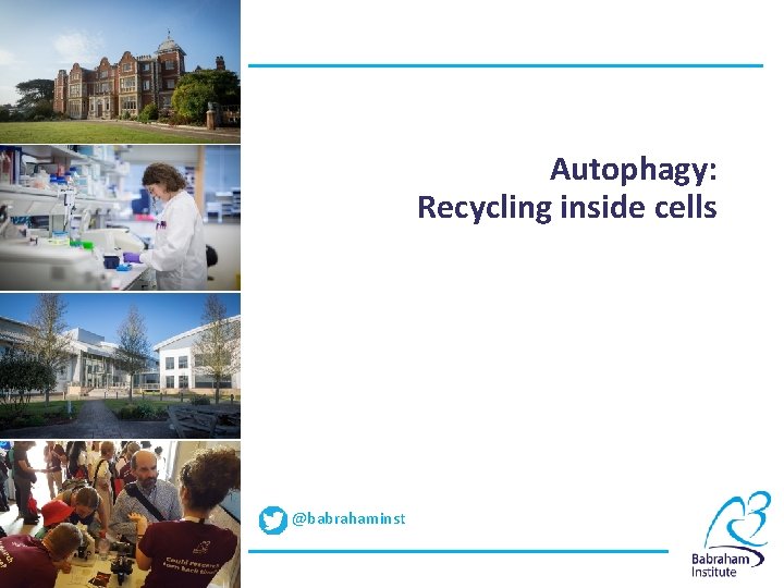 Autophagy visual data 4