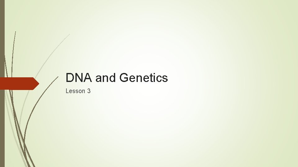 DNA and Genetics Lesson 3 