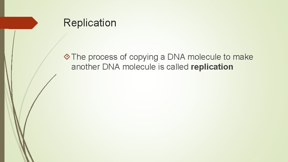 Replication The process of copying a DNA molecule to make another DNA molecule is