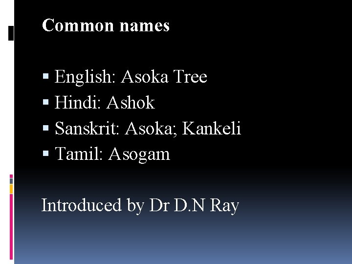Common names English: Asoka Tree Hindi: Ashok Sanskrit: Asoka; Kankeli Tamil: Asogam Introduced by