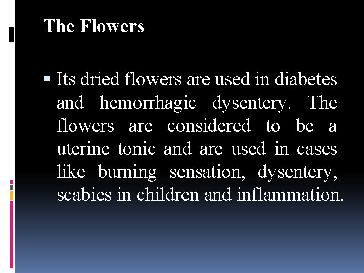 The Flowers Its dried flowers are used in diabetes and hemorrhagic dysentery. The flowers