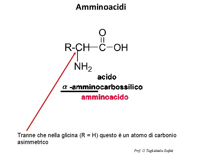 Amminoacidi Tranne che nella glicina (R = H) questo è un atomo di carbonio