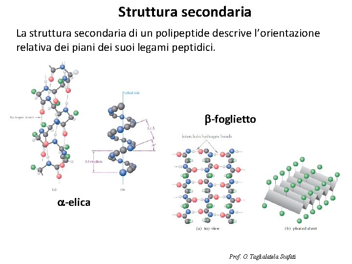 Struttura secondaria La struttura secondaria di un polipeptide descrive l’orientazione relativa dei piani dei