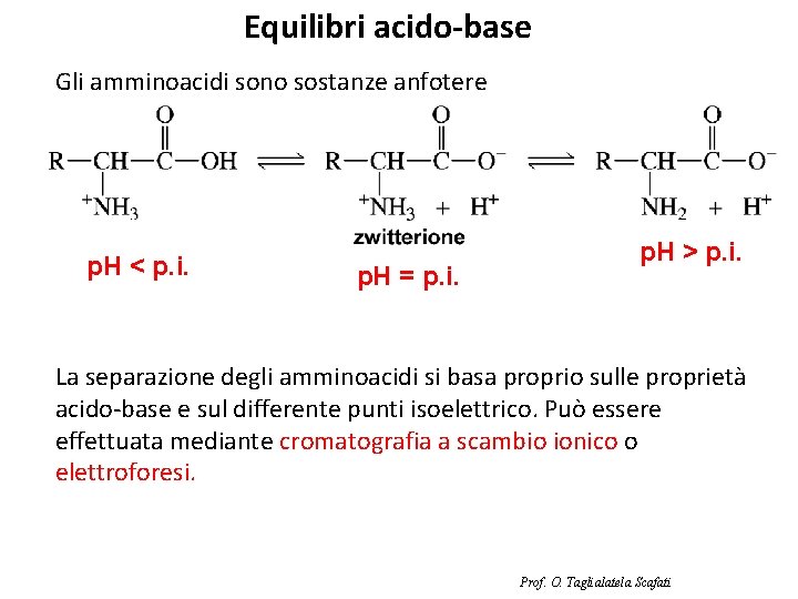 Equilibri acido-base Gli amminoacidi sono sostanze anfotere p. H < p. i. p. H