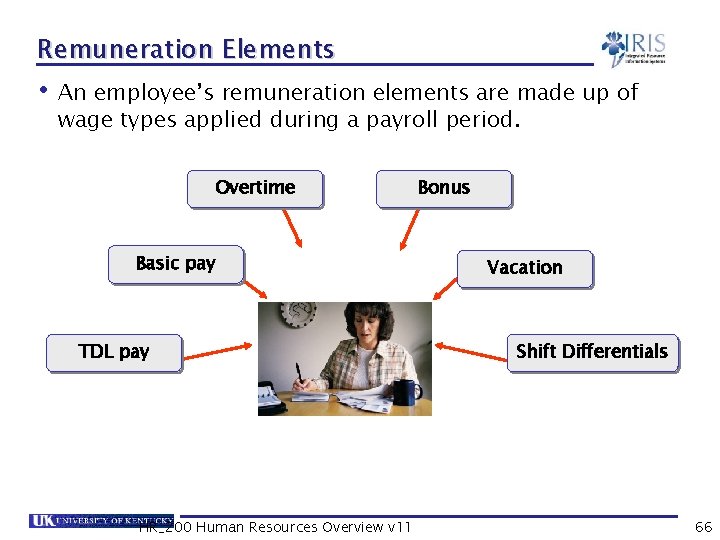 Remuneration Elements • An employee’s remuneration elements are made up of wage types applied