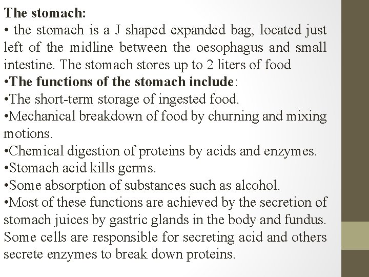 The stomach: • the stomach is a J shaped expanded bag, located just left The stomach: • the stomach is a J shaped expanded bag, located just left