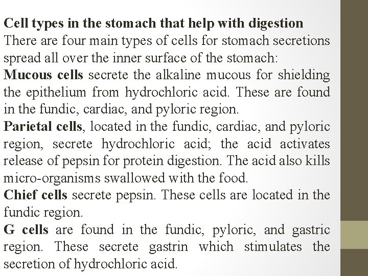 Cell types in the stomach that help with digestion There are four main types Cell types in the stomach that help with digestion There are four main types