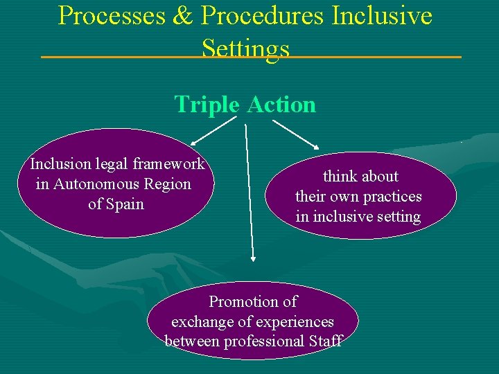 Processes & Procedures Inclusive Settings Triple Action Inclusion legal framework in Autonomous Region of