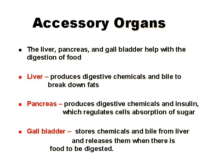 Accessory Organs The liver, pancreas, and gall bladder help with the digestion of food