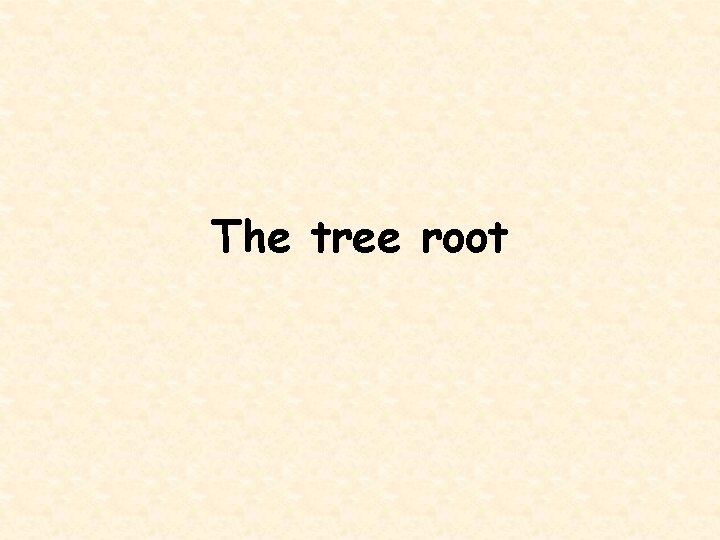 The tree root 