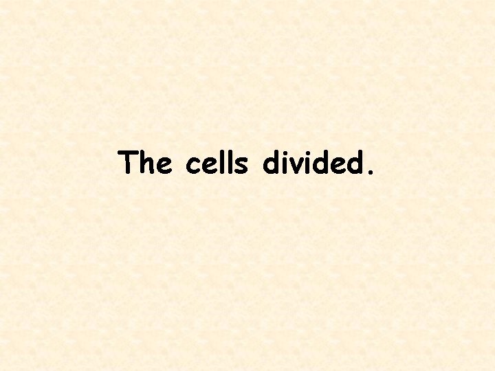 The cells divided. 