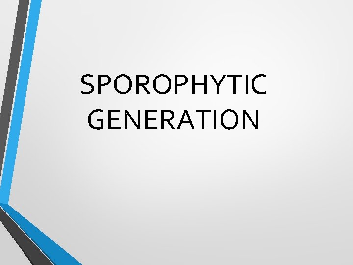 SPOROPHYTIC GENERATION 