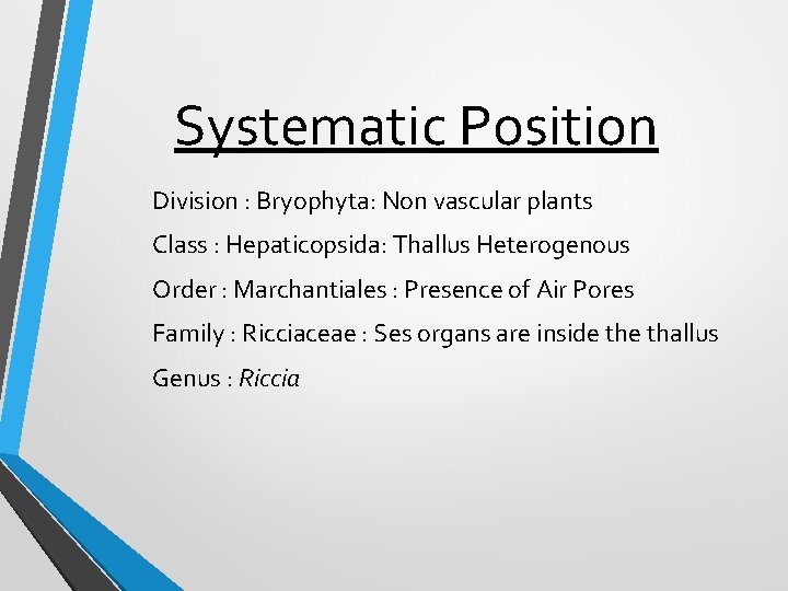 Systematic Position Division : Bryophyta: Non vascular plants Class : Hepaticopsida: Thallus Heterogenous Order