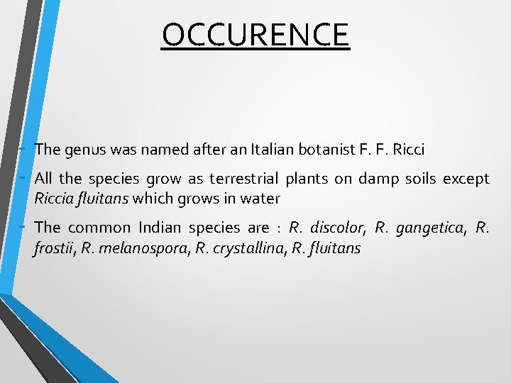 OCCURENCE - The genus was named after an Italian botanist F. F. Ricci -