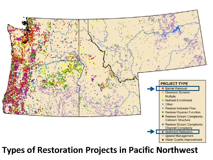 Types of Restoration Projects in Pacific Northwest 