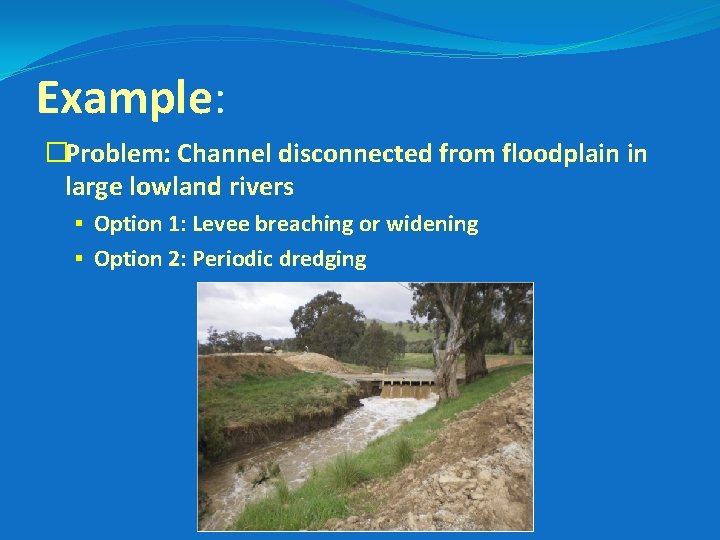 Example: �Problem: Channel disconnected from floodplain in large lowland rivers § Option 1: Levee