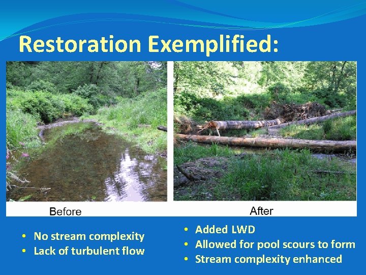 Restoration Exemplified: • No stream complexity • Lack of turbulent flow • Added LWD