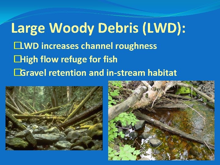 Large Woody Debris (LWD): �LWD increases channel roughness �High flow refuge for fish �Gravel
