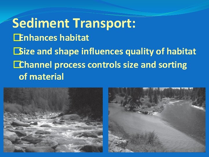 Sediment Transport: �Enhances habitat �Size and shape influences quality of habitat �Channel process controls