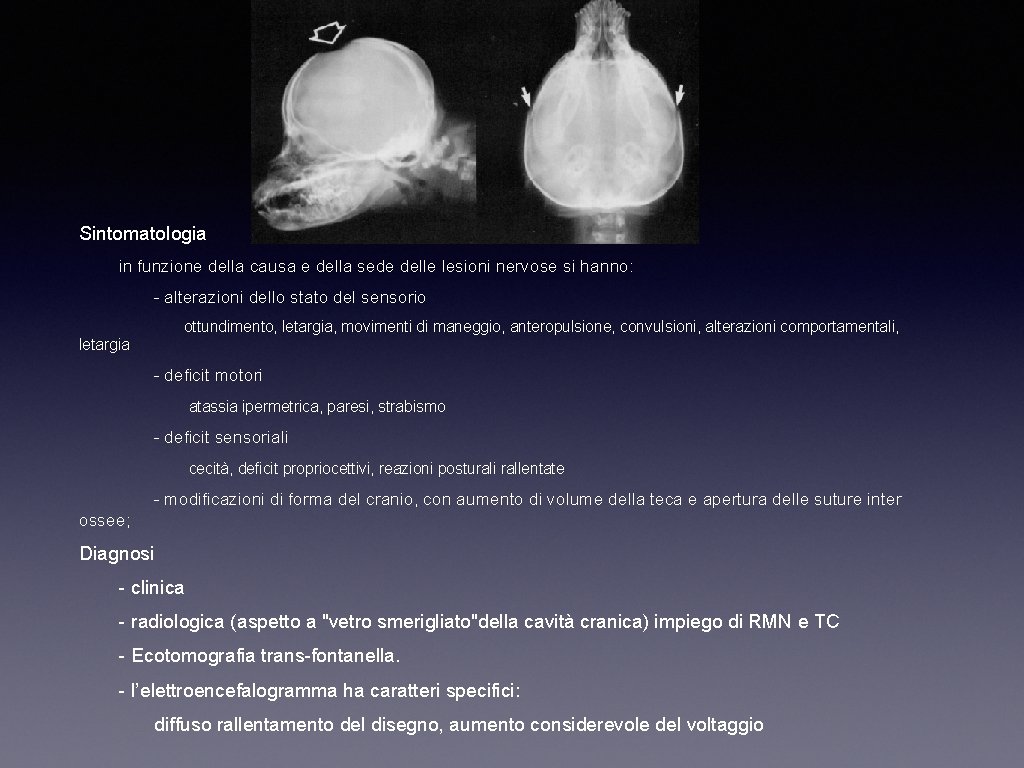 Sintomatologia in funzione della causa e della sede delle lesioni nervose si hanno: -