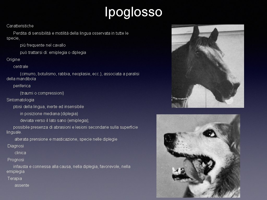 Ipoglosso Caratteristiche Perdita di sensibilità e motilità della lingua osservata in tutte le specie,