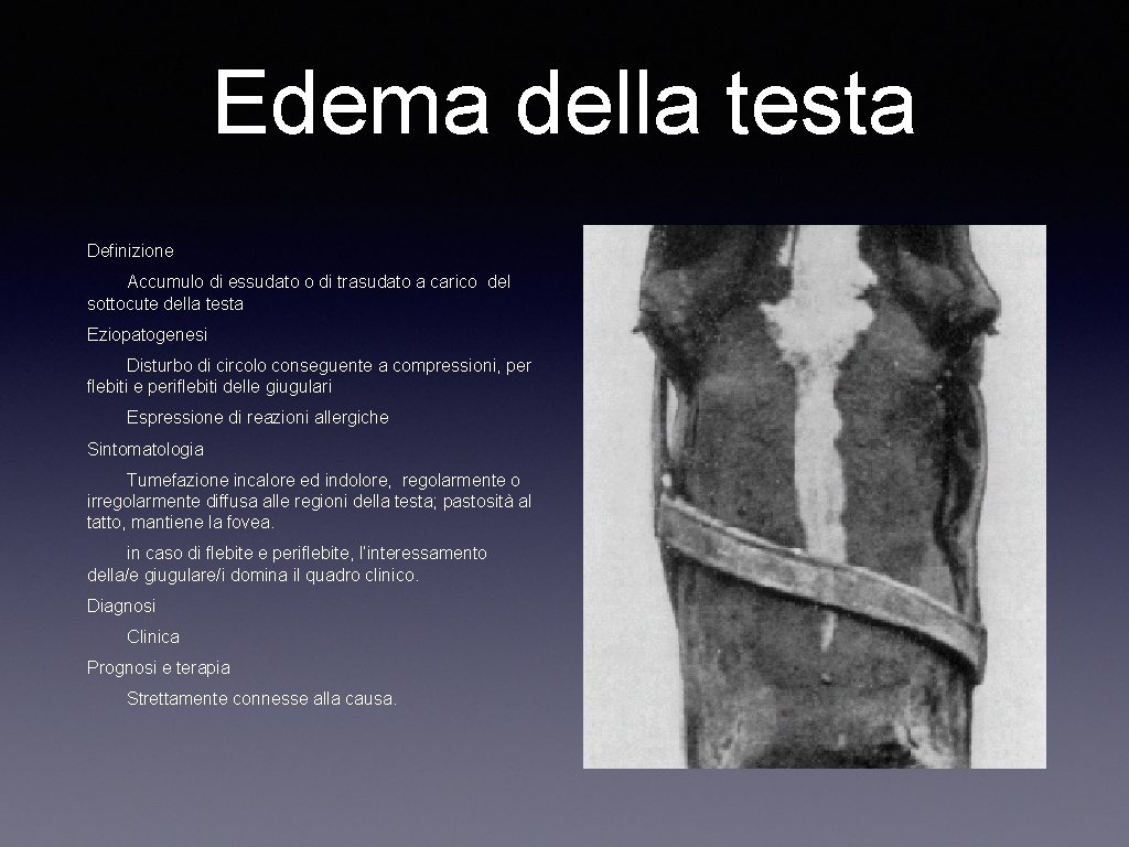Edema della testa Definizione Accumulo di essudato o di trasudato a carico del sottocute