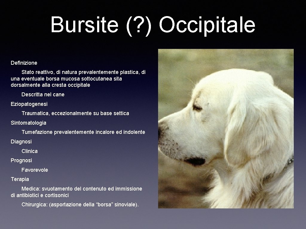 Bursite (? ) Occipitale Definizione Stato reattivo, di natura prevalentemente plastica, di una eventuale