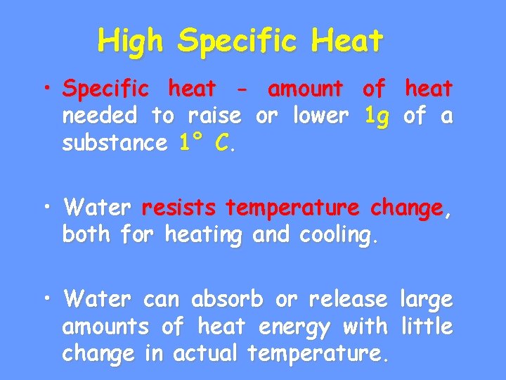What are the Properties of Water Structure of