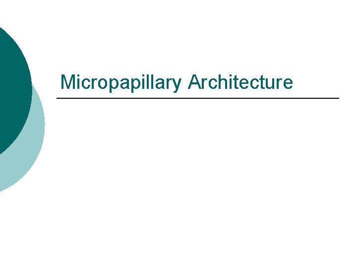 Micropapillary Architecture Micropapillary Architecture