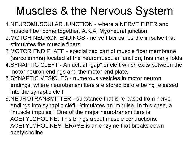 Muscles & the Nervous System 1. NEUROMUSCULAR JUNCTION - where a NERVE FIBER and