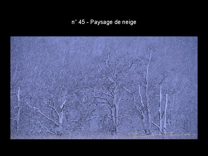 n° 45 - Paysage de neige n° 45 - Paysage de neige