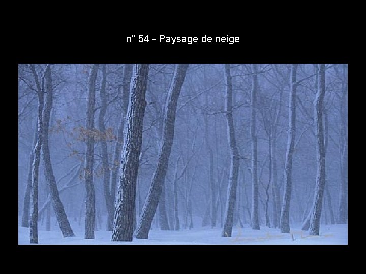 n° 54 - Paysage de neige n° 54 - Paysage de neige