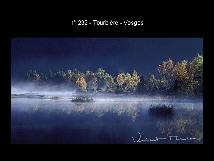 n° 232 - Tourbière - Vosges n° 232 - Tourbière - Vosges
