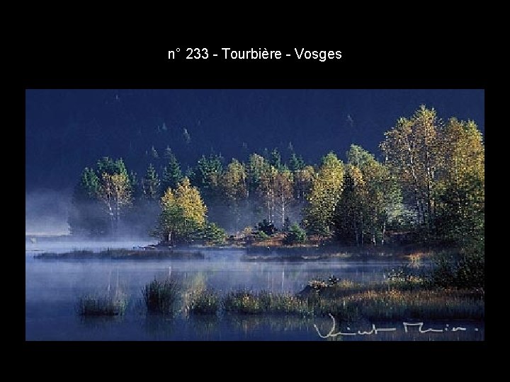 n° 233 - Tourbière - Vosges n° 233 - Tourbière - Vosges