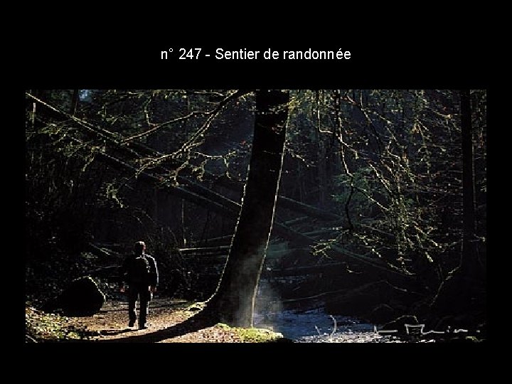 n° 247 - Sentier de randonnée n° 247 - Sentier de randonnée