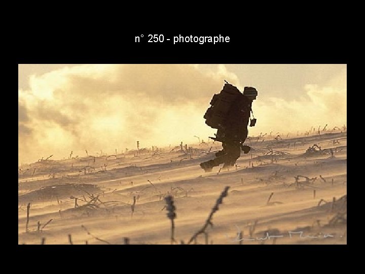 n° 250 - photographe n° 250 - photographe