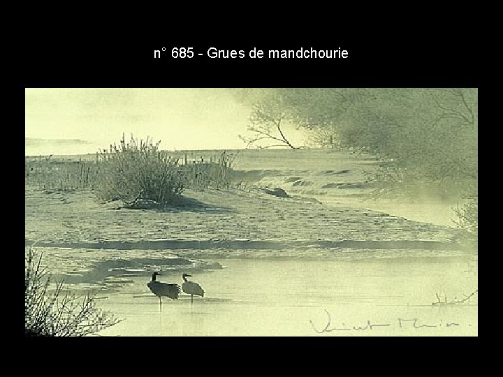 n° 685 - Grues de mandchourie n° 685 - Grues de mandchourie
