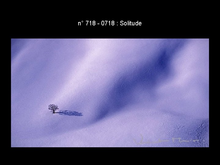 n° 718 - 0718 : Solitude n° 718 - 0718 : Solitude