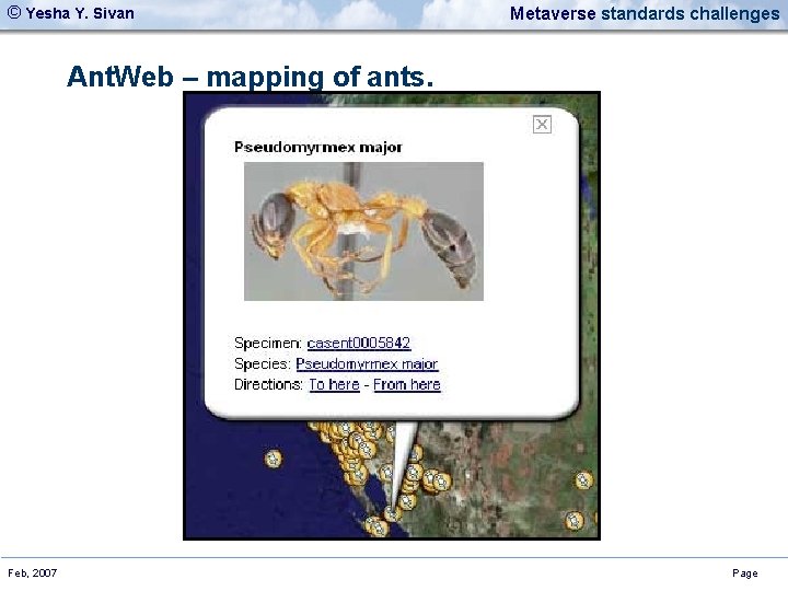 © Yesha Y. Sivan Metaverse standards challenges Ant. Web – mapping of ants. Feb,