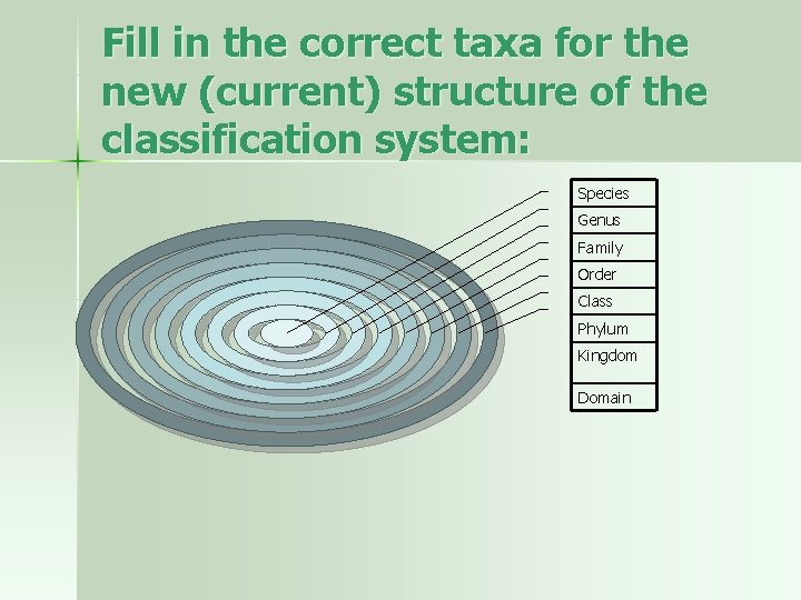 Fill in the correct taxa for the new (current) structure of the classification system: