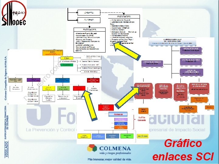 Gráfico enlaces SCI 