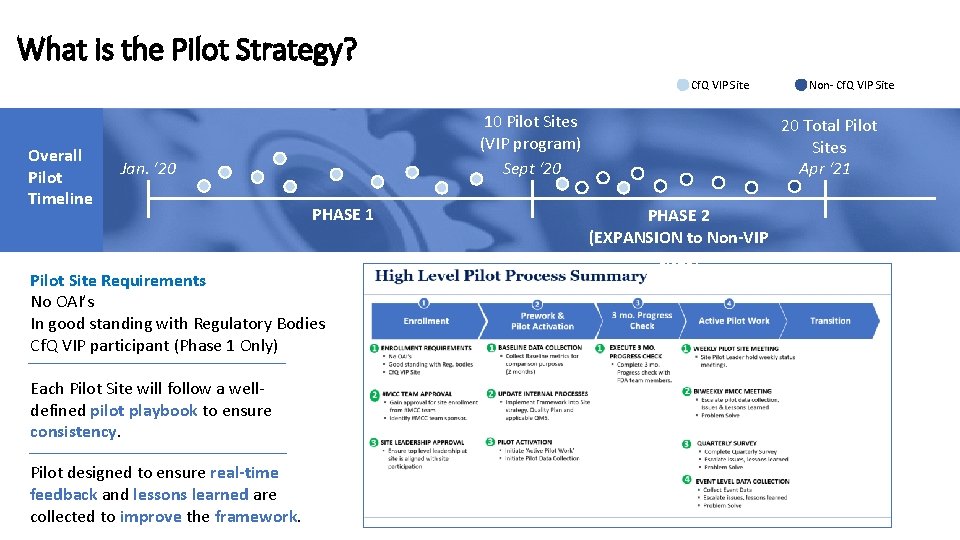 What is the Pilot Strategy? Cf. Q VIP Site Overall Pilot Timeline 10 Pilot