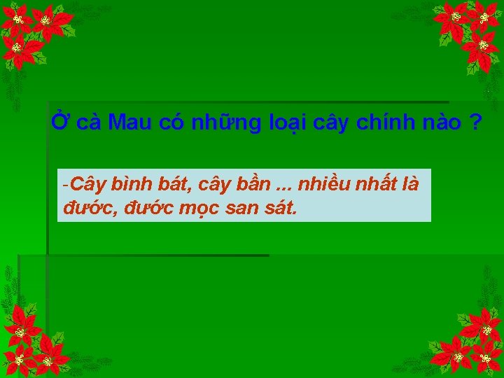 Ở cà Mau có những loại cây chính nào ? -Cây bình bát, cây