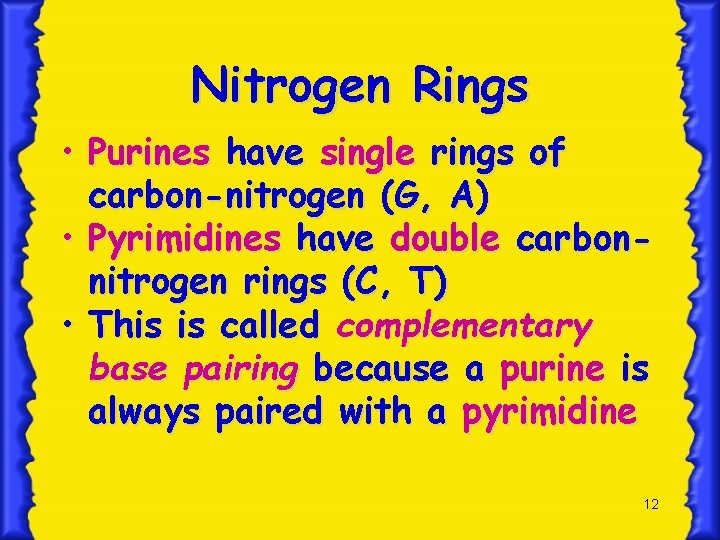 Nitrogen Rings • Purines have single rings of carbon-nitrogen (G, A) • Pyrimidines have